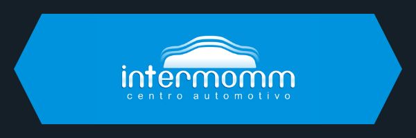 HEX LOGO INTERMOMM